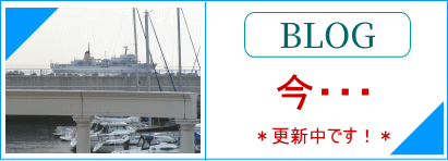 Blog今･･･